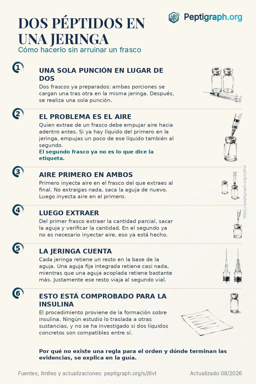 Resumen para compartir: dos péptidos en una jeringa en seis puntos, desde un solo pinchazo en vez de dos hasta el equilibrio de presión y el orden de carga, lo que la propia jeringa retiene y qué cubren realmente las evidencias. Los mismos puntos se explican en detalle en el texto de esta página.