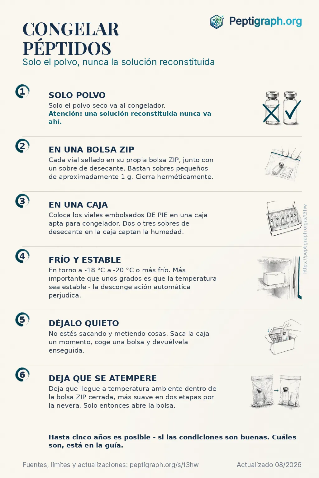 Resumen para compartir: congelar péptidos en seis pasos, desde el polvo seco y el embalaje hasta dejar que se atempere. Los mismos pasos se explican en detalle en el texto de esta página.