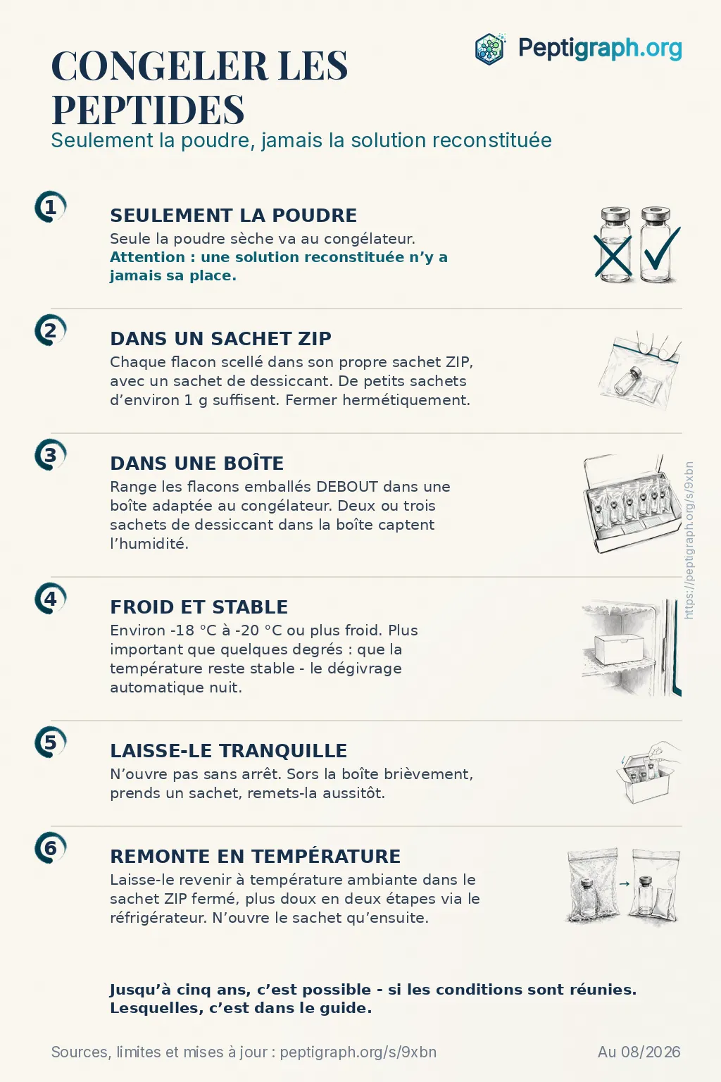 Aperçu partageable : congeler les peptides en six étapes, de la poudre sèche à l’emballage jusqu’à la remise en température. Les mêmes étapes sont détaillées dans le texte de cette page.