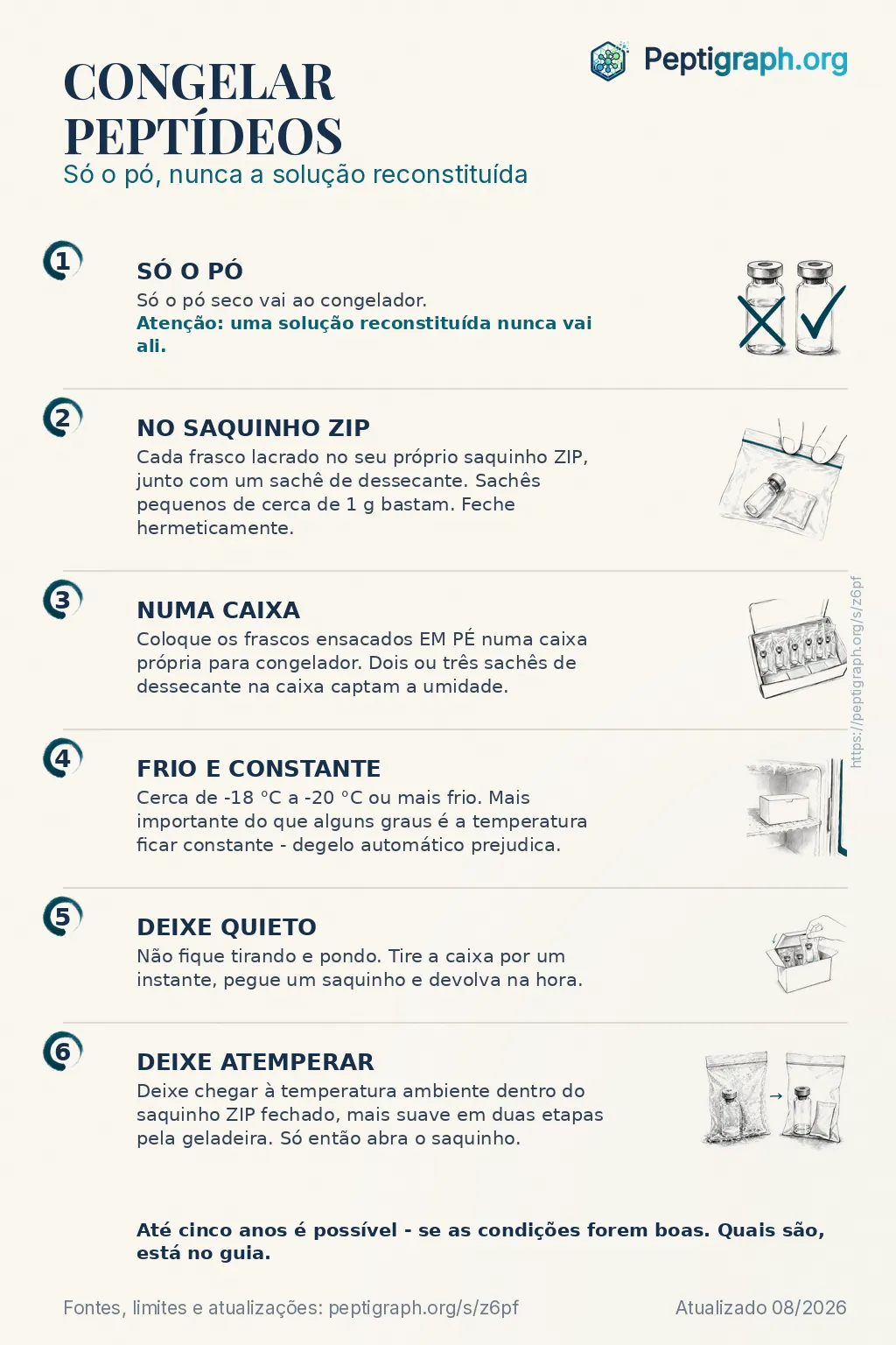Visão geral para compartilhar: congelar peptídeos em seis passos, do pó seco à embalagem até deixar atemperar. Os mesmos passos estão detalhados no texto desta página.